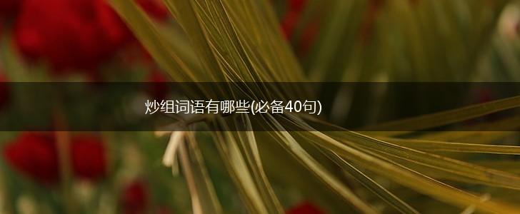 炒组词语有哪些(必备40句),第1张