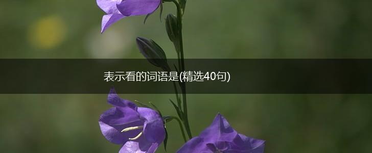 表示看的词语是(精选40句),第1张