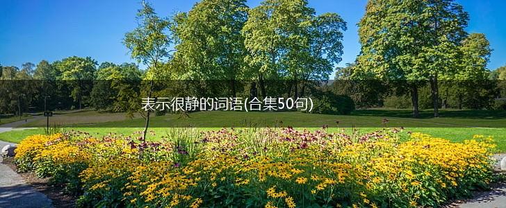 表示很静的词语(合集50句),第1张