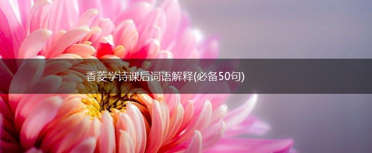 香菱学诗课后词语解释(必备50句),第1张