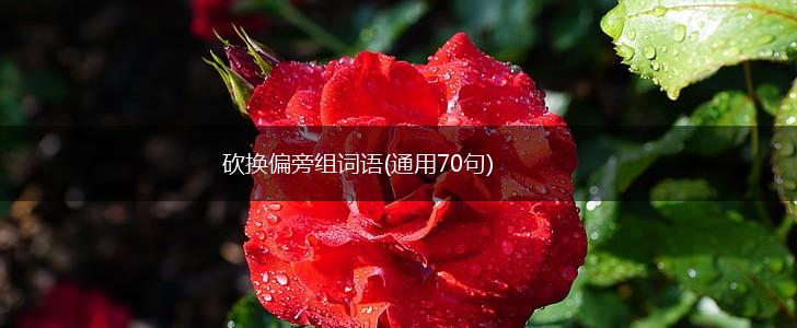 砍换偏旁组词语(通用70句),第1张