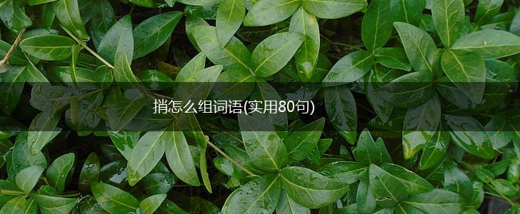 捎怎么组词语(实用80句),第1张