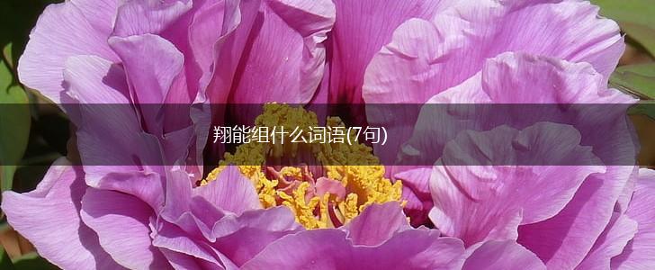翔能组什么词语(7句),第1张