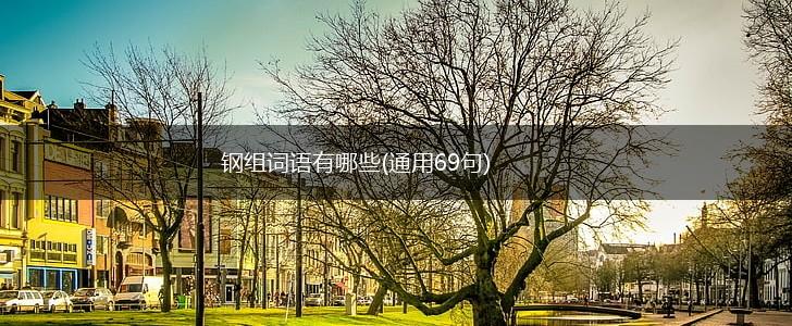 钢组词语有哪些(通用69句),第1张