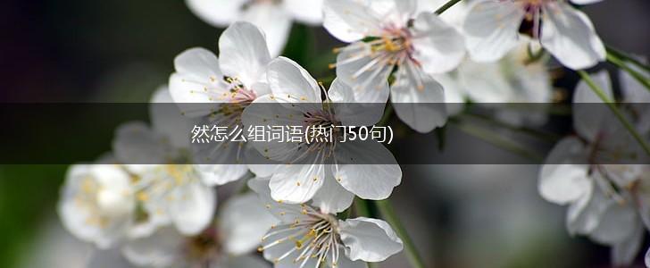 然怎么组词语(热门50句),第1张