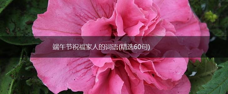 端午节祝福家人的词语(精选60句),第1张