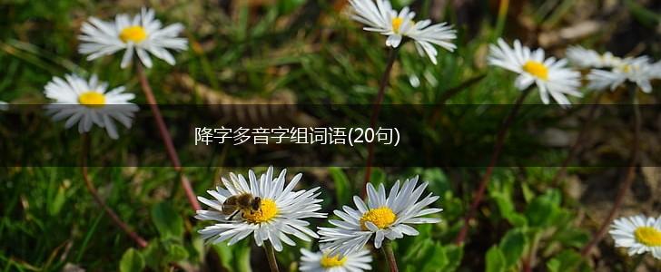降字多音字组词语(20句),第1张