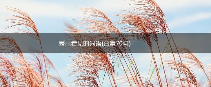 表示看见的词语(合集70句),第1张