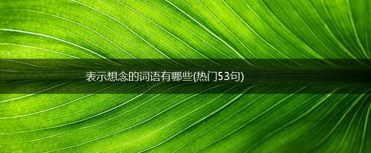 表示想念的词语有哪些(热门53句),第1张