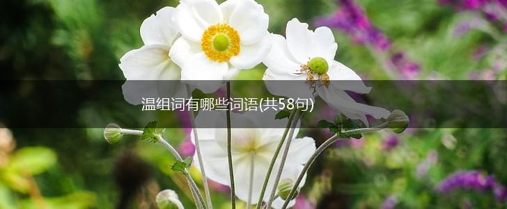 温组词有哪些词语(共58句),第1张