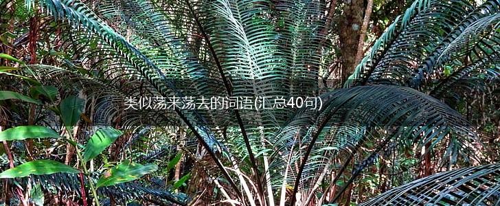 类似荡来荡去的词语(汇总40句),第1张