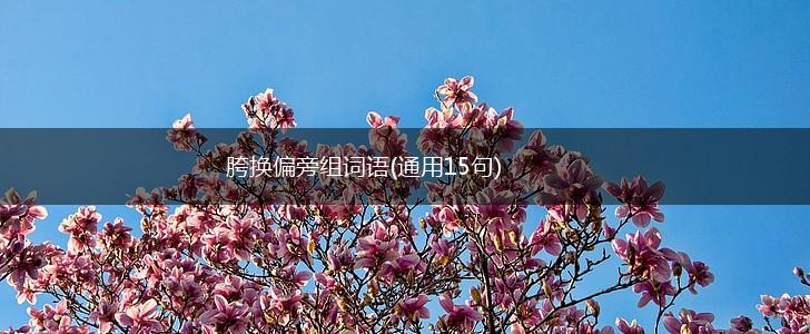 胯换偏旁组词语(通用15句),第1张