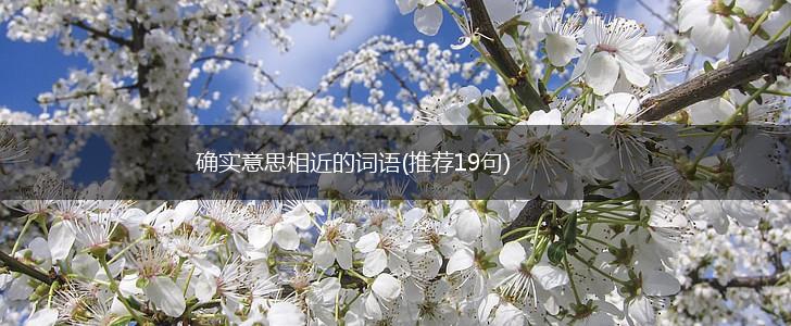 确实意思相近的词语(推荐19句),第1张