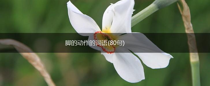 脚的动作的词语(80句),第1张