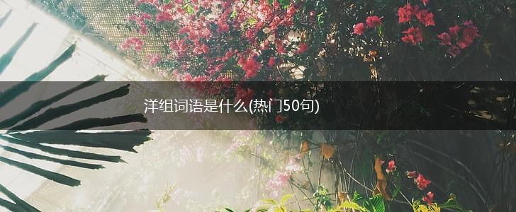 洋组词语是什么(热门50句),第1张