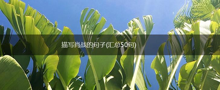描写肖战的句子(汇总50句),第1张