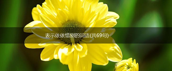 表示依依惜别的词语(共69句),第1张