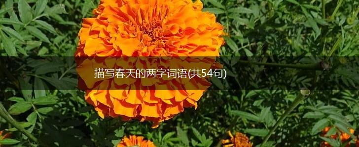 描写春天的两字词语(共54句),第1张