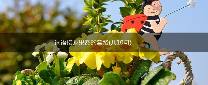 词语接龙果然的套路(共10句),第1张