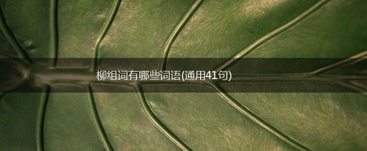 柳组词有哪些词语(通用41句),第1张