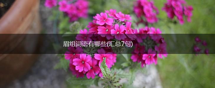眉组词语有哪些(汇总7句),第1张
