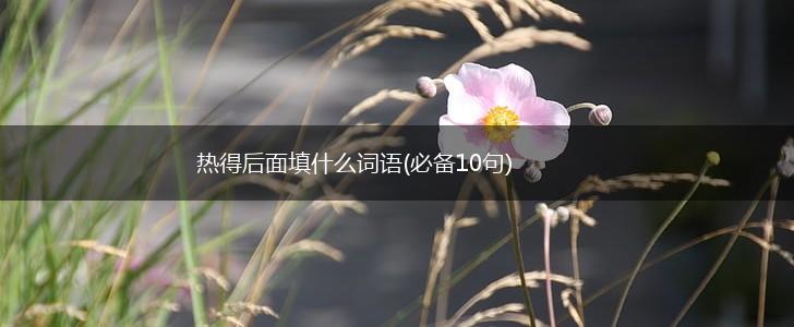 热得后面填什么词语(必备10句),第1张