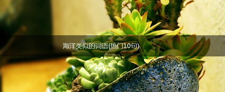 海洋类似的词语(热门10句),第1张