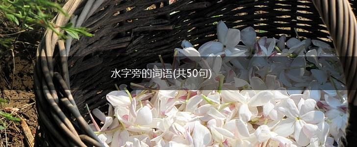 水字旁的词语(共50句),第1张