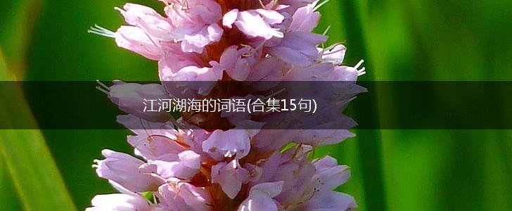 江河湖海的词语(合集15句),第1张