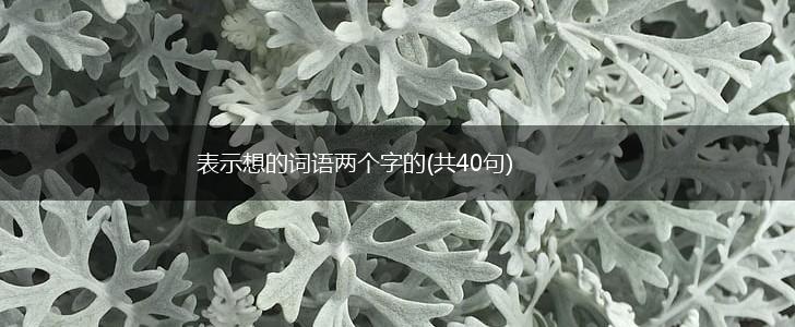 表示想的词语两个字的(共40句),第1张