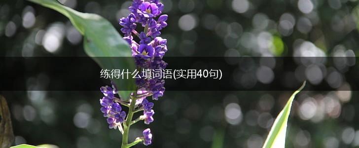 练得什么填词语(实用40句),第1张