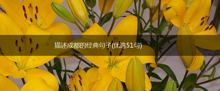 描述成都的经典句子(优选51句),第1张