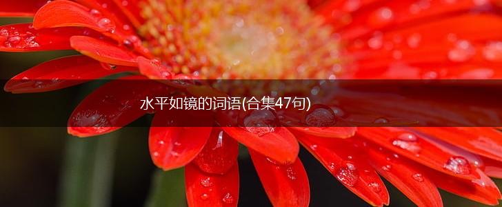 水平如镜的词语(合集47句),第1张