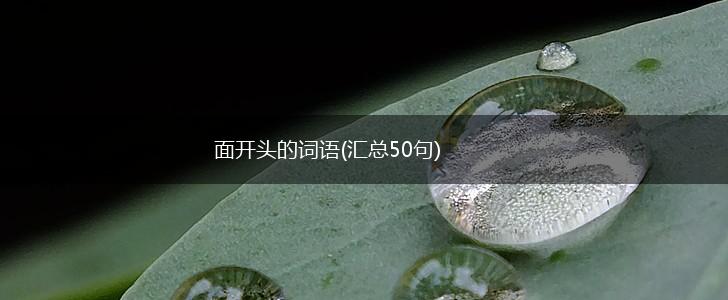 面开头的词语(汇总50句),第1张