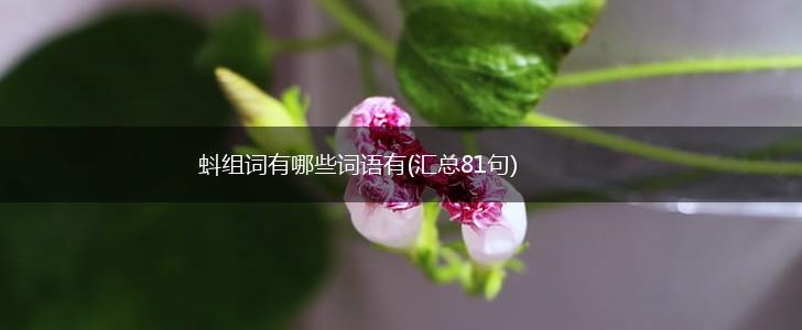 蚪组词有哪些词语有(汇总81句),第1张