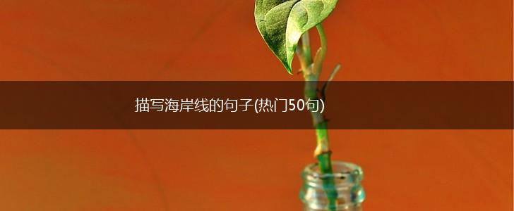 描写海岸线的句子(热门50句),第1张