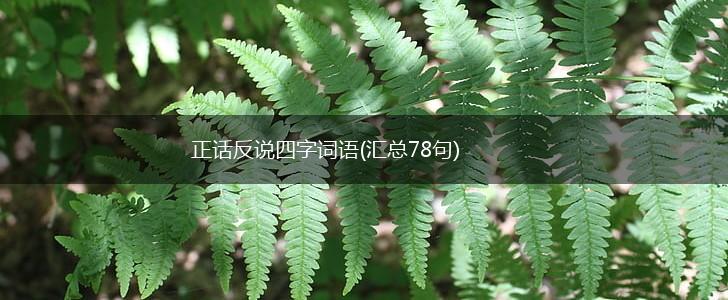 正话反说四字词语(汇总78句),第1张