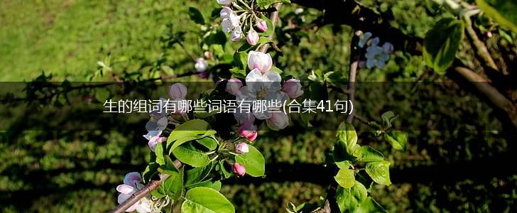生的组词有哪些词语有哪些(合集41句),第1张
