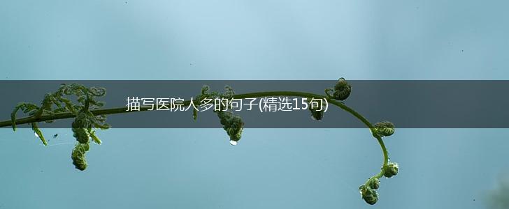 描写医院人多的句子(精选15句),第1张