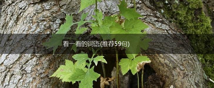 看一看的词语(推荐59句),第1张