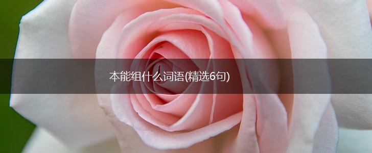 本能组什么词语(精选6句),第1张