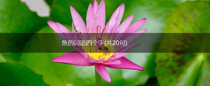鱼的词语四个字(共20句),第1张