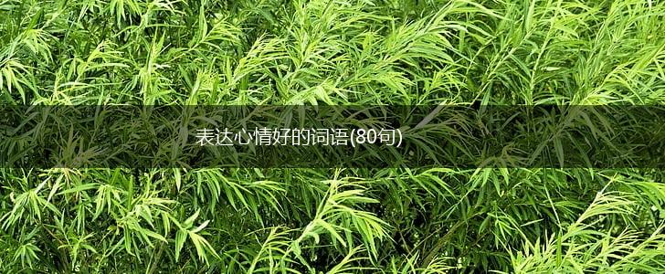 表达心情好的词语(80句),第1张
