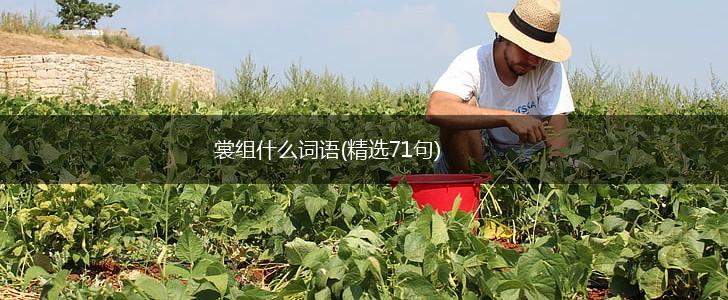 裳组什么词语(精选71句),第1张