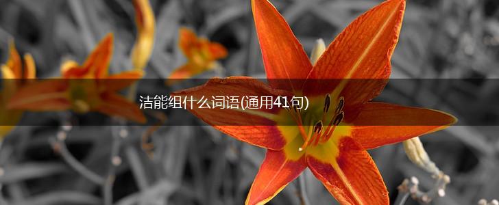 洁能组什么词语(通用41句),第1张