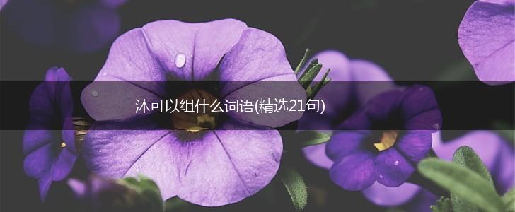 沐可以组什么词语(精选21句),第1张