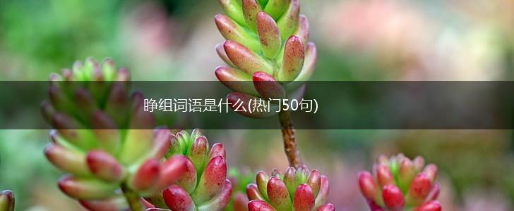 睁组词语是什么(热门50句),第1张