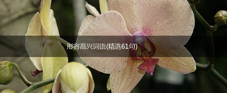形容高兴词语(精选61句),第1张
