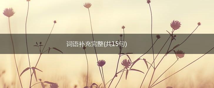 词语补充完整(共15句),第1张