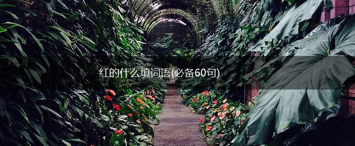 红的什么填词语(必备60句),第1张